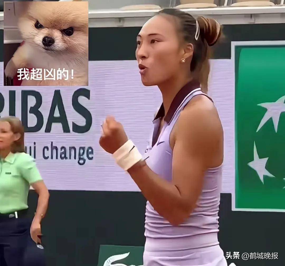 爱游戏-关于阿扎伦卡爆冷击败加拿大队，爆冷引爆全场！的信息